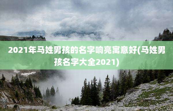 2021年马姓男孩的名字响亮寓意好(马姓男孩名字大全2021)