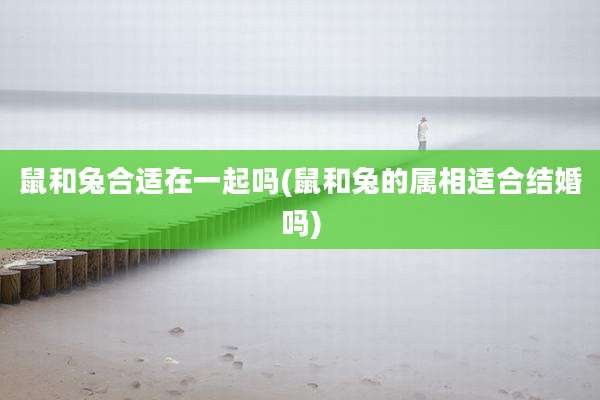 鼠和兔合适在一起吗(鼠和兔的属相适合结婚吗)