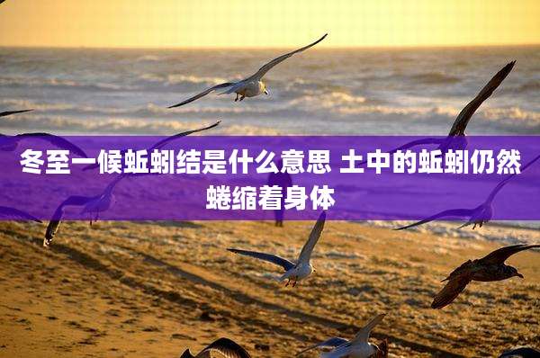 冬至一候蚯蚓结是什么意思 土中的蚯蚓仍然蜷缩着身体