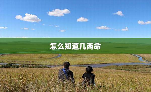 怎么知道几两命