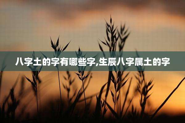 八字土的字有哪些字,生辰八字属土的字