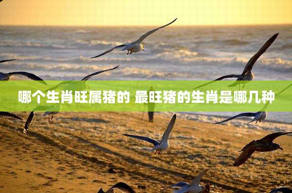哪个生肖旺属猪的 最旺猪的生肖是哪几种