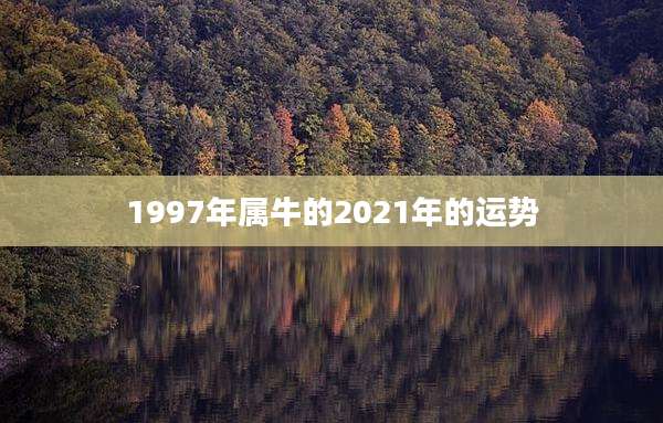 1997年属牛的2021年的运势