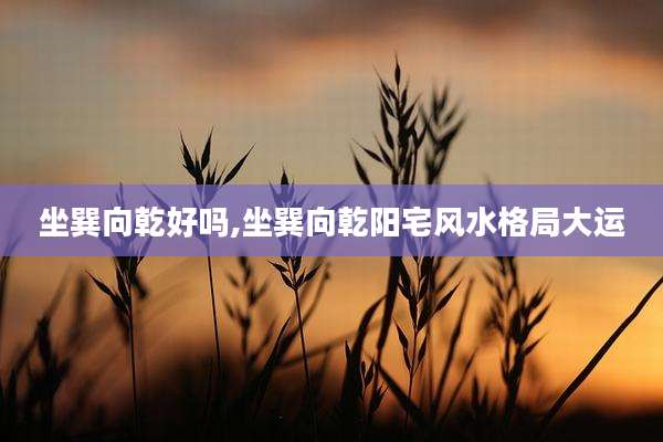 坐巽向乾好吗,坐巽向乾阳宅风水格局大运