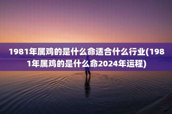 1981年属鸡的是什么命适合什么行业(1981年属鸡的是什么命2024年运程)