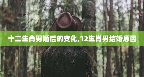 十二生肖男婚后的变化,12生肖男结婚原因