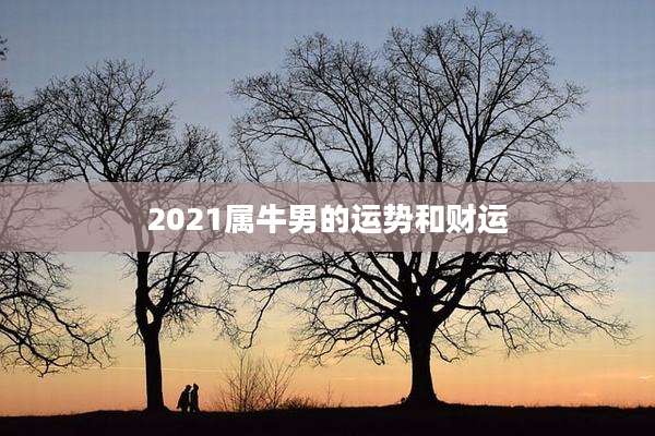 2021属牛男的运势和财运
