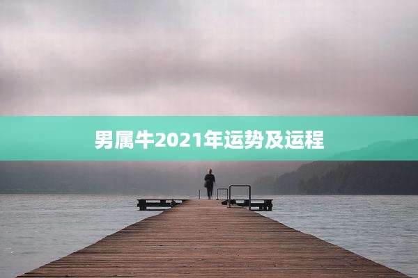 男属牛2021年运势及运程