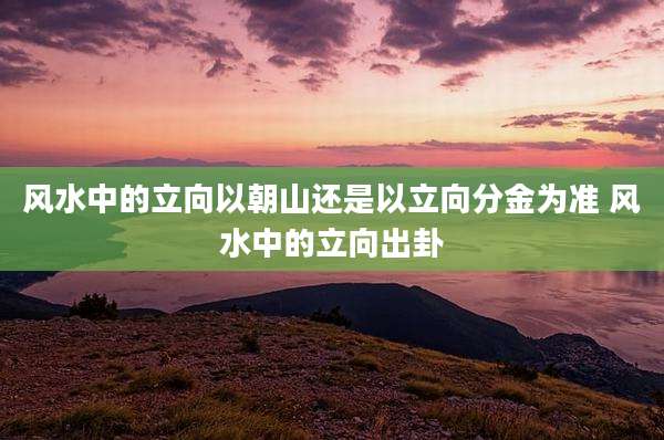 风水中的立向以朝山还是以立向分金为准 风水中的立向出卦