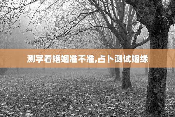 测字看婚姻准不准,占卜测试姻缘