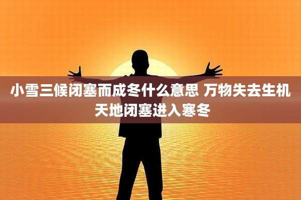 小雪三候闭塞而成冬什么意思 万物失去生机 天地闭塞进入寒冬