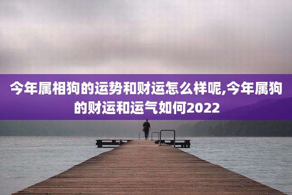 今年属相狗的运势和财运怎么样呢,今年属狗的财运和运气如何2022