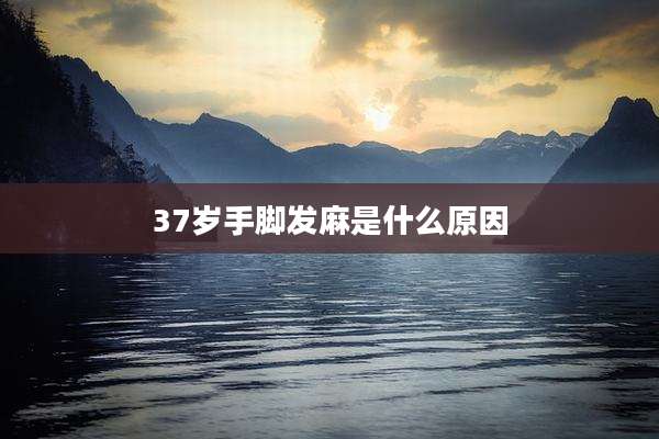 37岁手脚发麻是什么原因