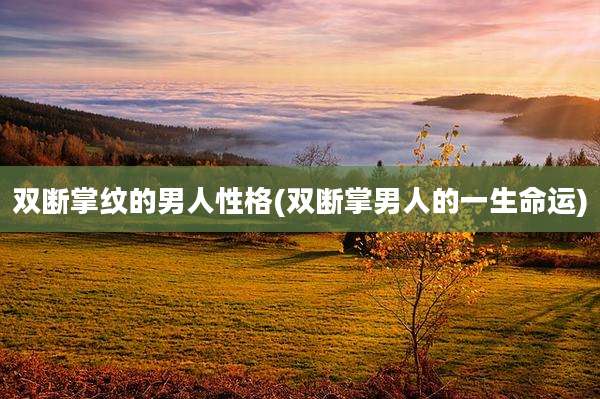 双断掌纹的男人性格(双断掌男人的一生命运)