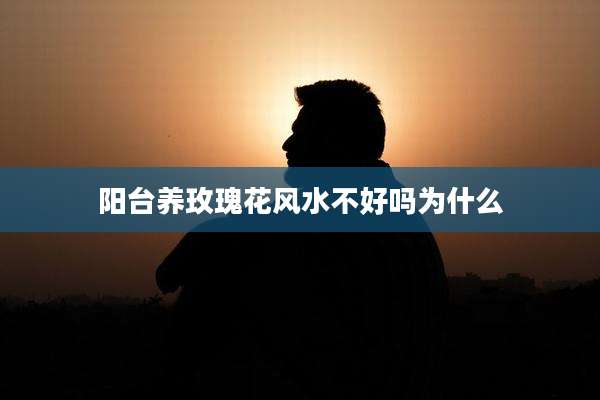 阳台养玫瑰花风水不好吗为什么