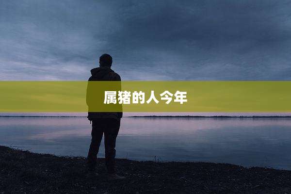 属猪的人今年