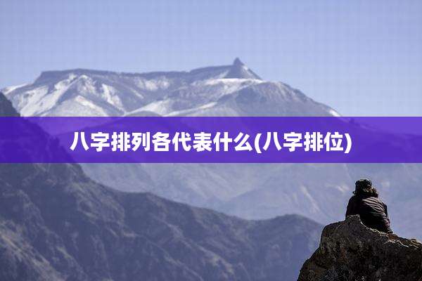 八字排列各代表什么(八字排位)