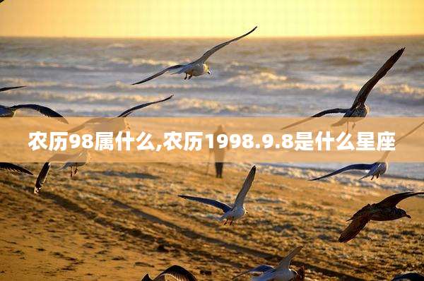 农历98属什么,农历1998.9.8是什么星座