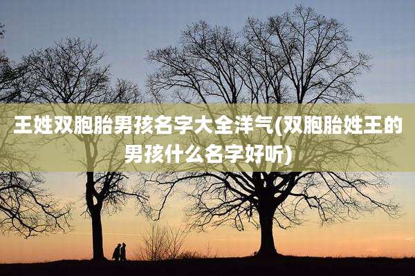 王姓双胞胎男孩名字大全洋气(双胞胎姓王的男孩什么名字好听)