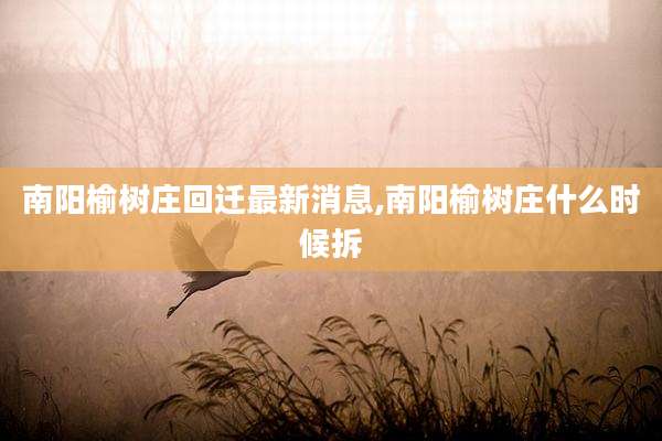 南阳榆树庄回迁最新消息,南阳榆树庄什么时候拆
