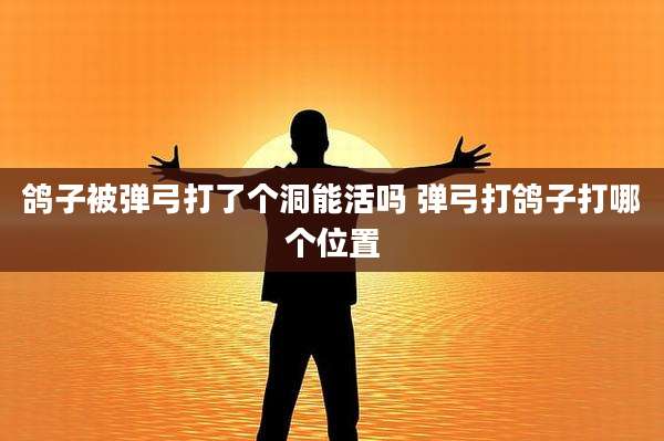 鸽子被弹弓打了个洞能活吗 弹弓打鸽子打哪个位置