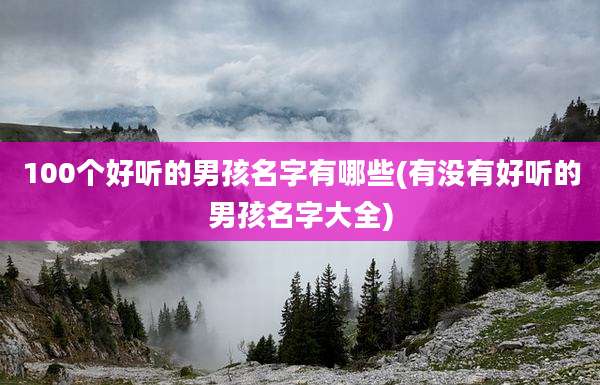 100个好听的男孩名字有哪些(有没有好听的男孩名字大全)