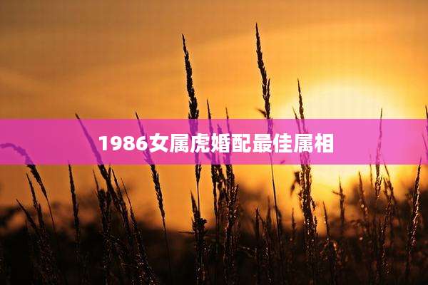 1986女属虎婚配最佳属相