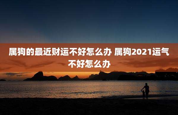 属狗的最近财运不好怎么办 属狗2021运气不好怎么办