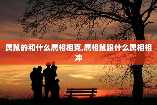 属鼠的和什么属相相克,属相鼠跟什么属相相冲