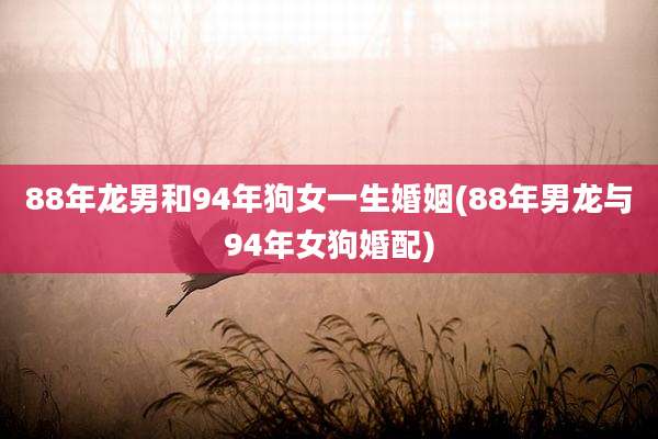 88年龙男和94年狗女一生婚姻(88年男龙与94年女狗婚配)