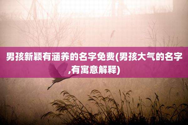 男孩新颖有涵养的名字免费(男孩大气的名字,有寓意解释)