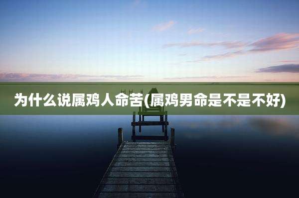 为什么说属鸡人命苦(属鸡男命是不是不好)