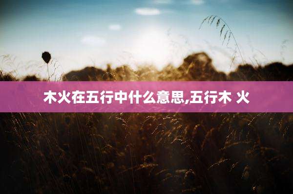 木火在五行中什么意思,五行木 火