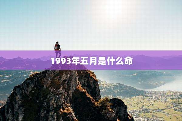 1993年五月是什么命