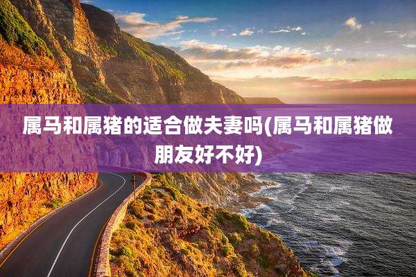 属马和属猪的适合做夫妻吗(属马和属猪做朋友好不好)