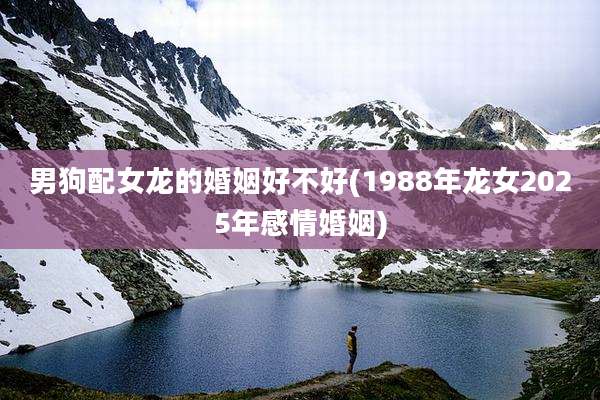男狗配女龙的婚姻好不好(1988年龙女2025年感情婚姻)