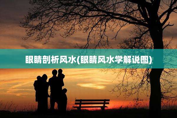 眼睛剖析风水(眼睛风水学解说图)