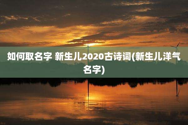 如何取名字 新生儿2020古诗词(新生儿洋气名字)