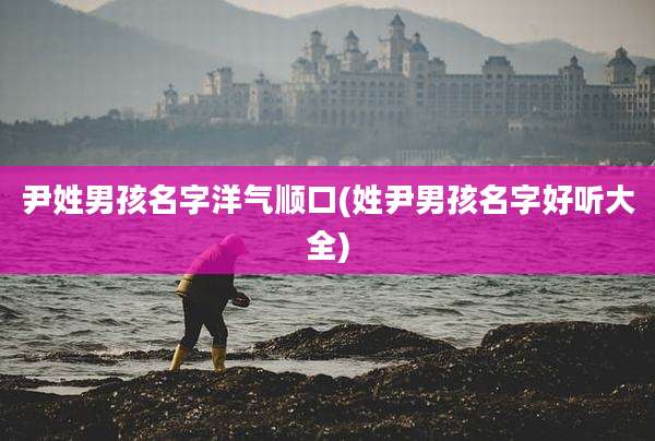 尹姓男孩名字洋气顺口(姓尹男孩名字好听大全)