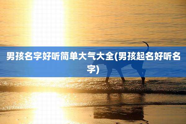 男孩名字好听简单大气大全(男孩起名好听名字)