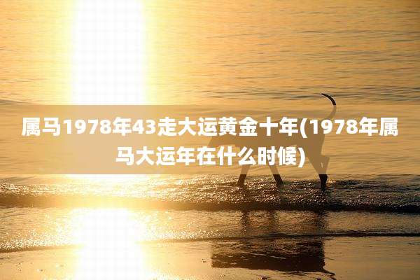 属马1978年43走大运黄金十年(1978年属马大运年在什么时候)