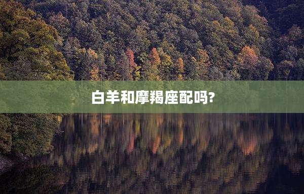 白羊和摩羯座配吗?