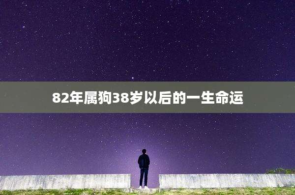 82年属狗38岁以后的一生命运