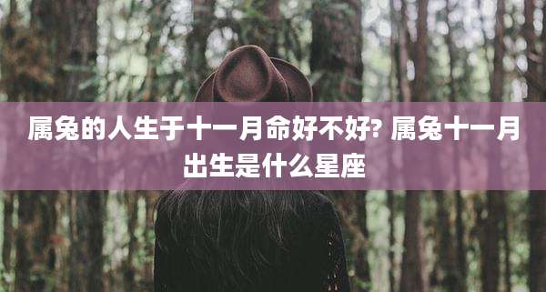 属兔的人生于十一月命好不好? 属兔十一月出生是什么星座