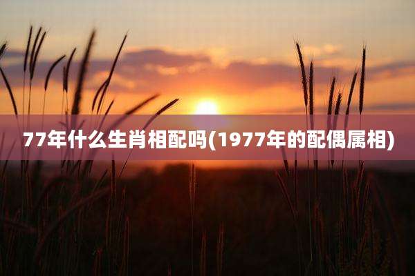 77年什么生肖相配吗(1977年的配偶属相)