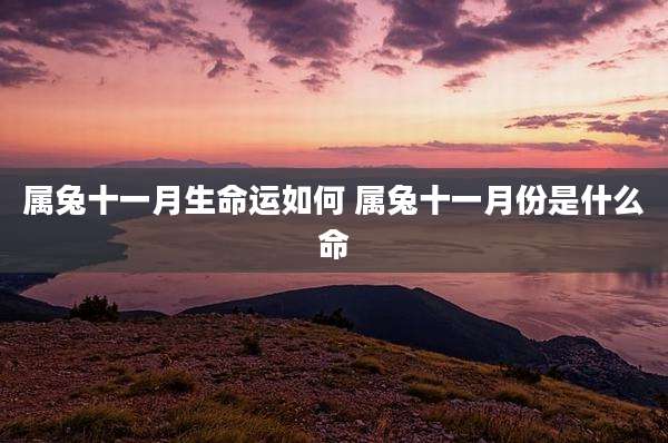 属兔十一月生命运如何 属兔十一月份是什么命