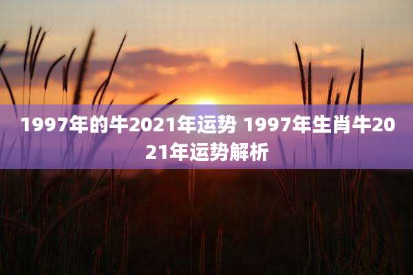 1997年的牛2021年运势 1997年生肖牛2021年运势解析