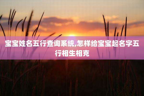宝宝姓名五行查询系统,怎样给宝宝起名字五行相生相克