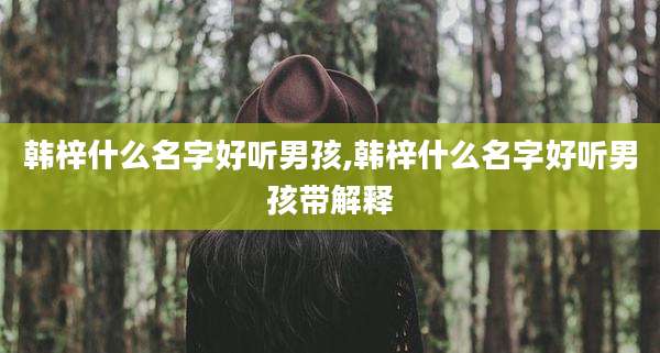 韩梓什么名字好听男孩,韩梓什么名字好听男孩带解释