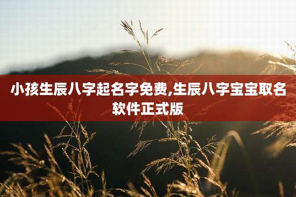 小孩生辰八字起名字免费,生辰八字宝宝取名软件正式版